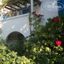 фото из отзыва ID 1405557