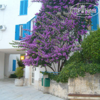 фото из отзыва ID 1405557