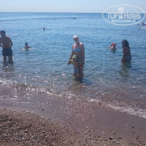 фото из отзыва ID 1405718