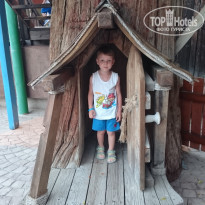 фото из отзыва ID 1405718