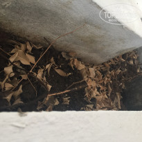 фото из отзыва ID 1405759