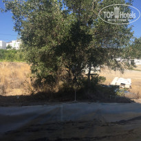 фото из отзыва ID 1405759