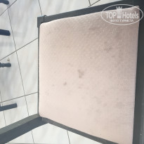 фото из отзыва ID 1405759