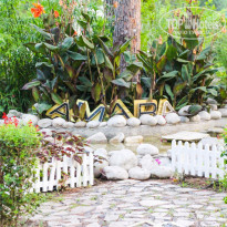 фото из отзыва ID 1405824