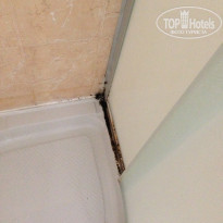 фото из отзыва ID 1405855