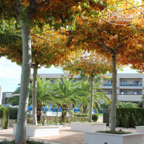 фото из отзыва ID 1405933