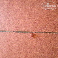 фото из отзыва ID 1406015