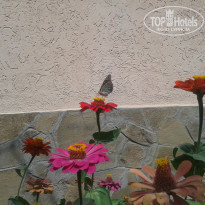 фото из отзыва ID 1406037