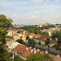 фото из отзыва ID 1406106