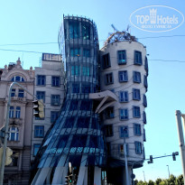 фото из отзыва ID 1406106