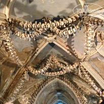 фото из отзыва ID 1406106