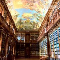 фото из отзыва ID 1406106