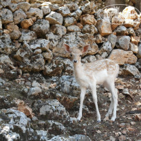 фото из отзыва ID 1406123