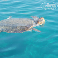 фото из отзыва ID 1406123