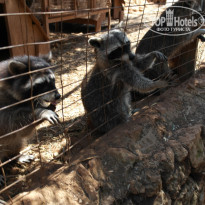 фото из отзыва ID 1406123