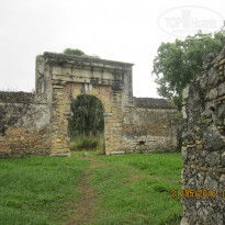 фото из отзыва ID 1406226