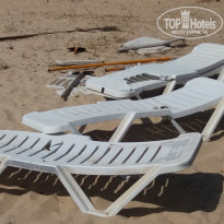 фото из отзыва ID 1406329