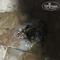 фото из отзыва ID 1406357