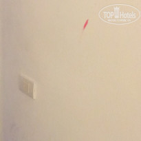 фото из отзыва ID 1406357