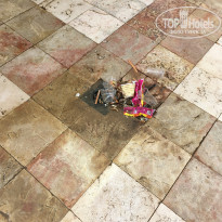 фото из отзыва ID 1406357