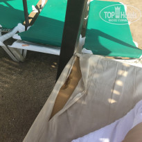 фото из отзыва ID 1406357