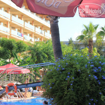 фото из отзыва ID 1406383