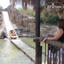 фото из отзыва ID 1406383