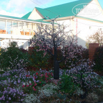 фото из отзыва ID 1406494