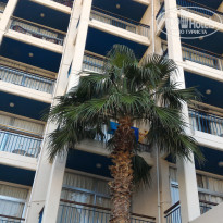 фото из отзыва ID 1406496