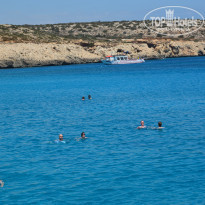 фото из отзыва ID 1406623