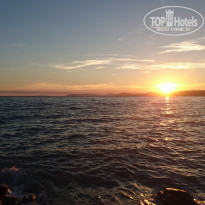 фото из отзыва ID 1406568