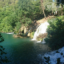 фото из отзыва ID 1406568