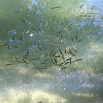 фото из отзыва ID 1406568