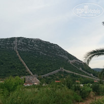 фото из отзыва ID 1406568