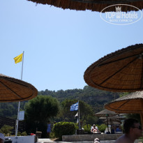 фото из отзыва ID 1406647