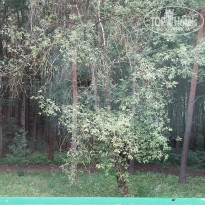 фото из отзыва ID 1406700