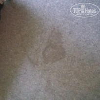 фото из отзыва ID 1406700