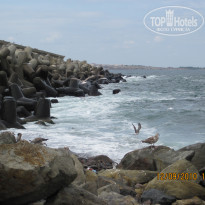 фото из отзыва ID 1406997