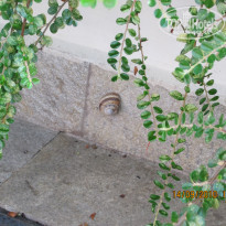 фото из отзыва ID 1406997