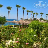 фото из отзыва ID 1407003