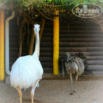 фото из отзыва ID 1407096