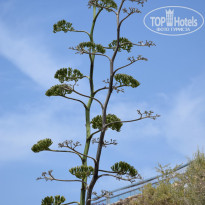 фото из отзыва ID 1407091