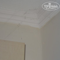 фото из отзыва ID 1407111