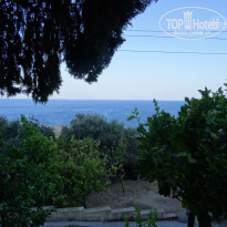 фото из отзыва ID 1407111