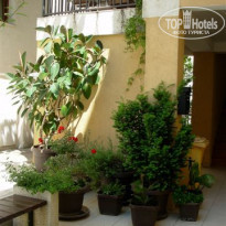 фото из отзыва ID 1407125