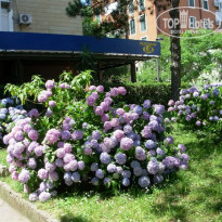 фото из отзыва ID 1407125