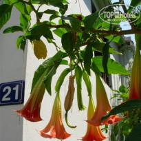 фото из отзыва ID 1407125