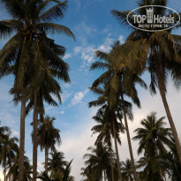 фото из отзыва ID 1407155