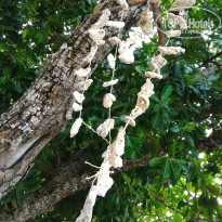 фото из отзыва ID 1407155