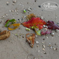 фото из отзыва ID 1407155